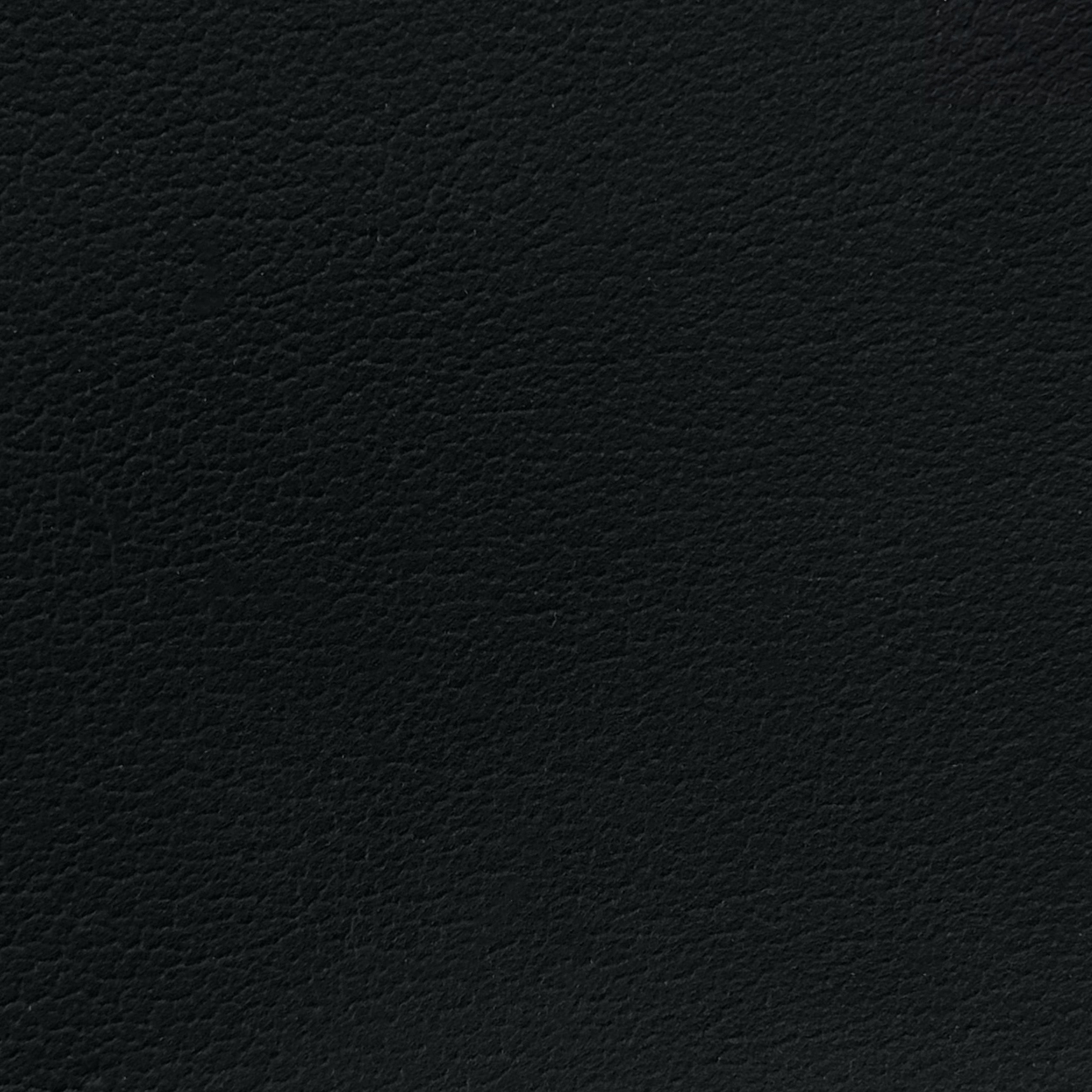 Shinto Black Leather Swatch